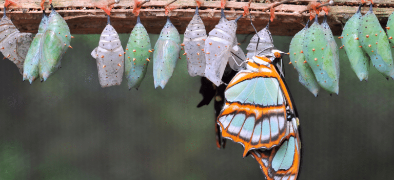 Unfolding